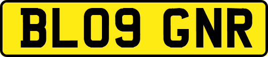 BL09GNR
