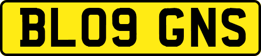 BL09GNS
