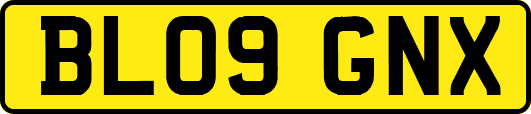 BL09GNX