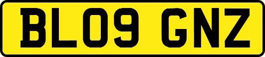 BL09GNZ