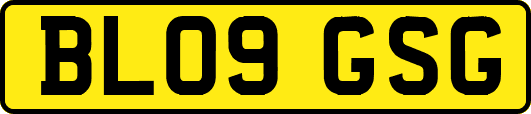 BL09GSG