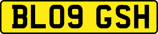 BL09GSH