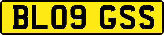 BL09GSS
