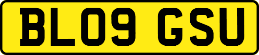 BL09GSU