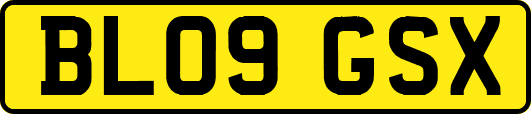 BL09GSX