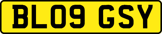 BL09GSY