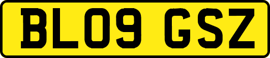 BL09GSZ