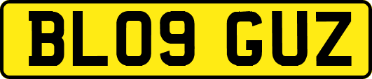 BL09GUZ