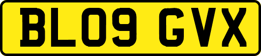 BL09GVX