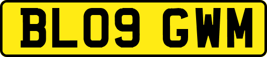 BL09GWM