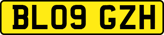 BL09GZH