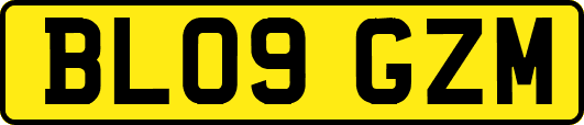BL09GZM