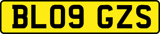BL09GZS