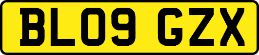 BL09GZX