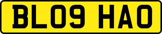 BL09HAO