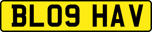 BL09HAV