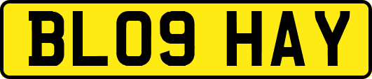 BL09HAY