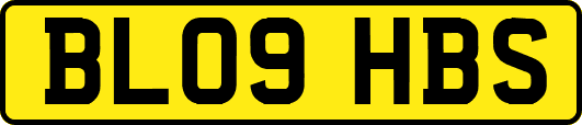 BL09HBS