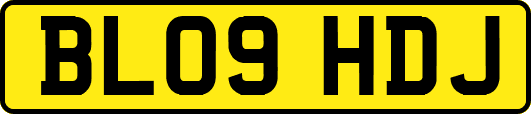 BL09HDJ