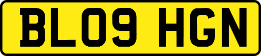 BL09HGN