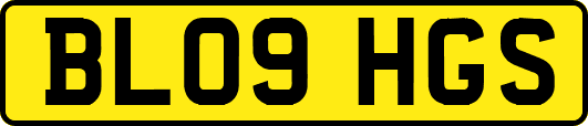 BL09HGS
