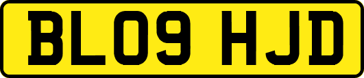BL09HJD