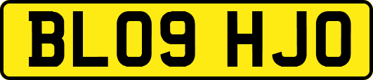 BL09HJO