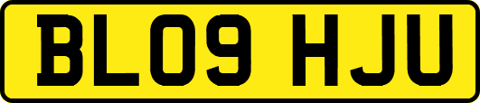 BL09HJU