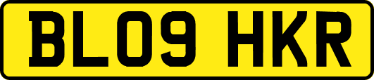 BL09HKR