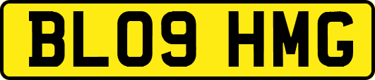 BL09HMG