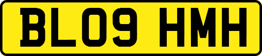 BL09HMH