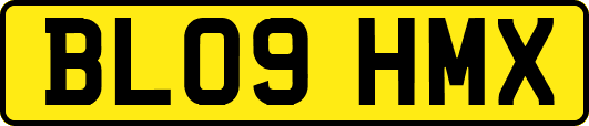 BL09HMX