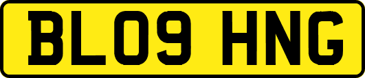 BL09HNG