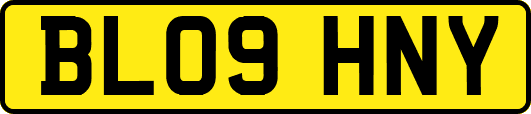 BL09HNY