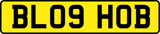 BL09HOB