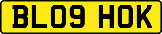BL09HOK