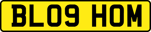 BL09HOM