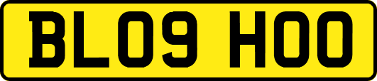 BL09HOO