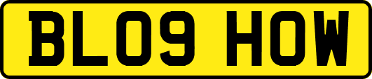 BL09HOW
