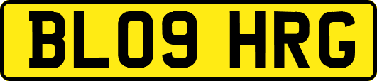 BL09HRG