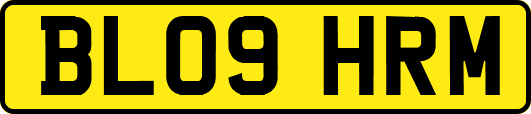BL09HRM