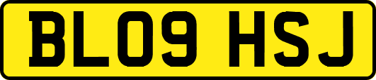 BL09HSJ