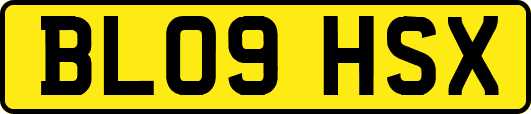 BL09HSX