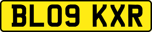 BL09KXR