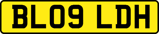 BL09LDH