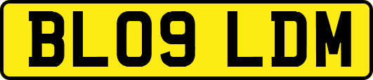 BL09LDM