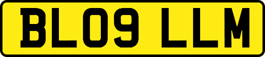 BL09LLM