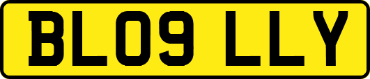 BL09LLY