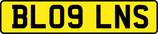 BL09LNS