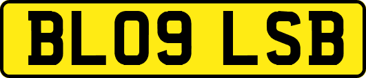 BL09LSB